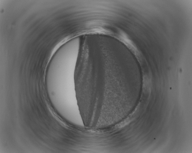 X0000084051234200703161848