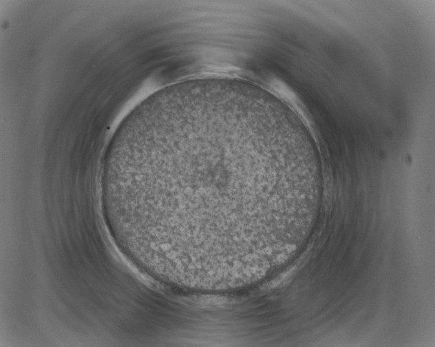 X0000084051235200703161848