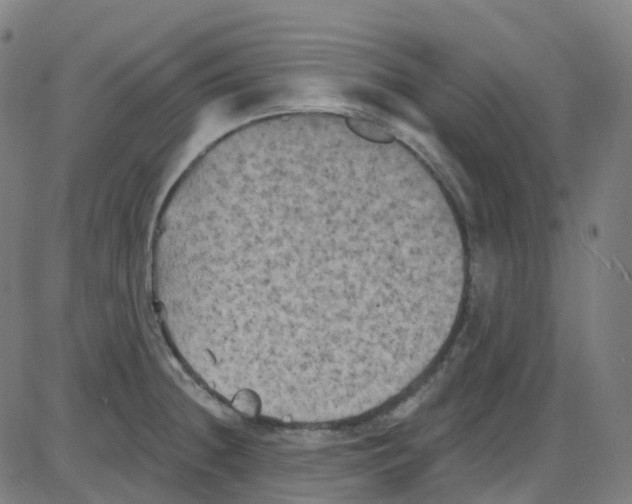 X0000084051236200703161848