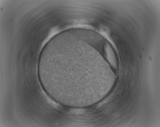 X0000084051237200703161848