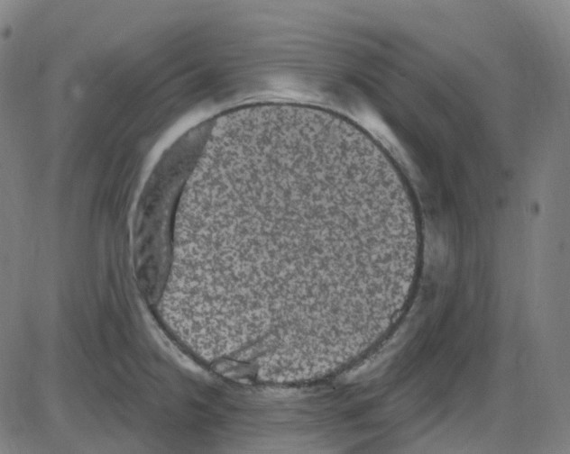 X0000084051238200703161848