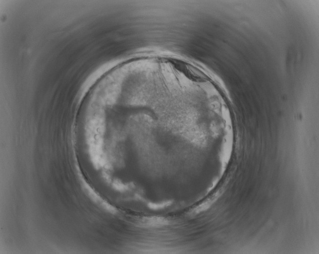 X0000084051239200703161848