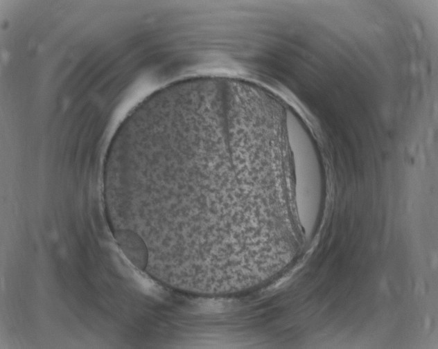 X0000084051240200703161848