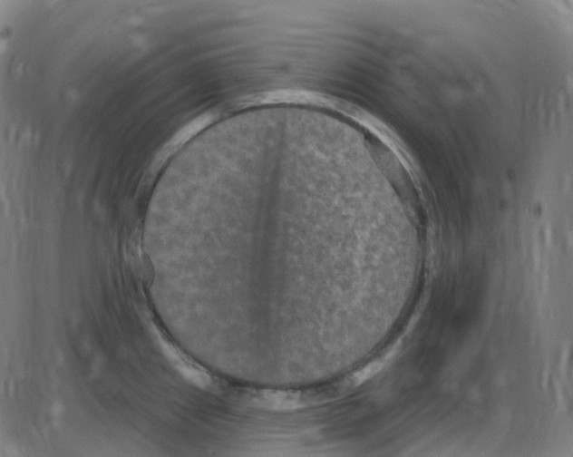 X0000084051241200703161849