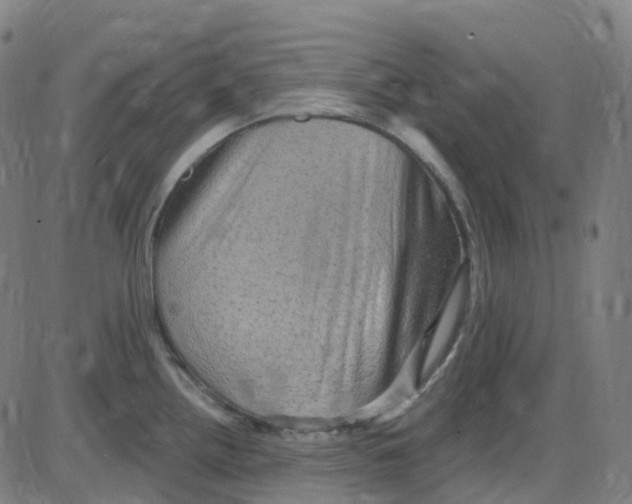 X0000084051242200703161849