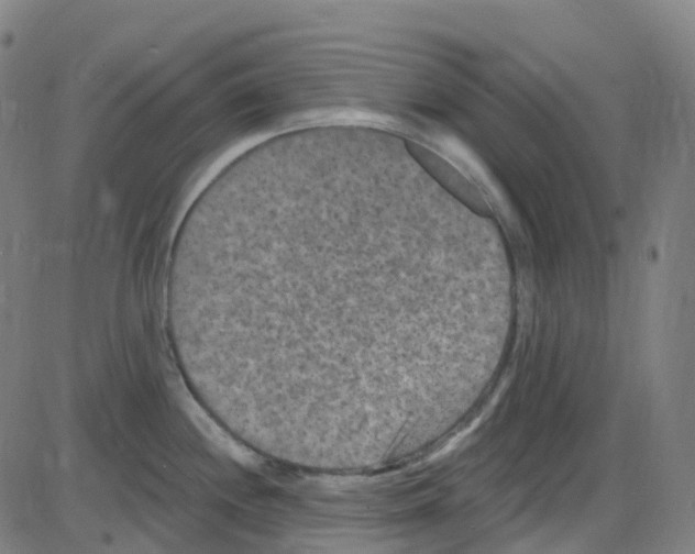 X0000084051244200703161849