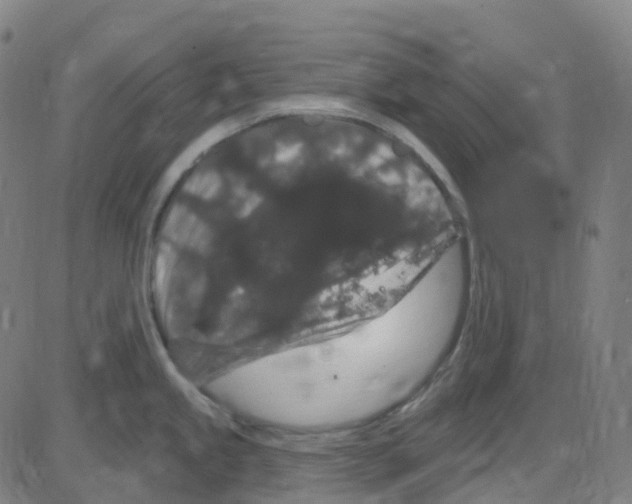 X0000084051245200703161849