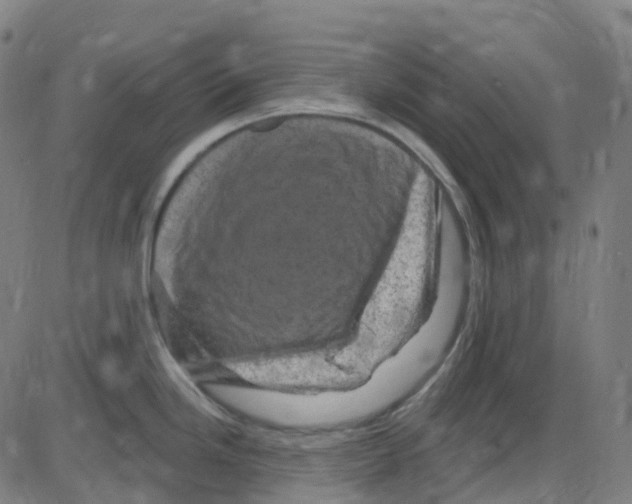 X0000084051246200703161849