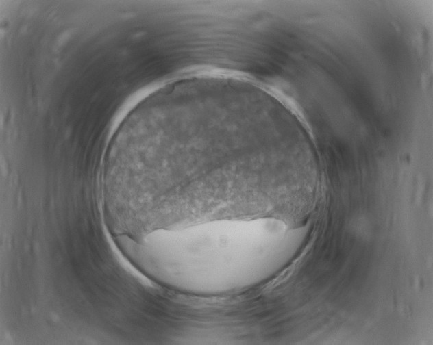 X0000084051247200703161849