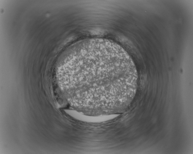 X0000084051249200703161848