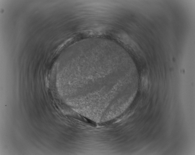 X0000084051250200703161848