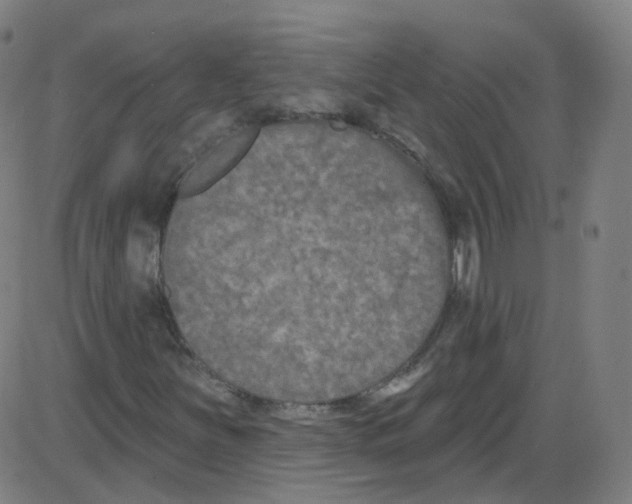 X0000084051251200703161848