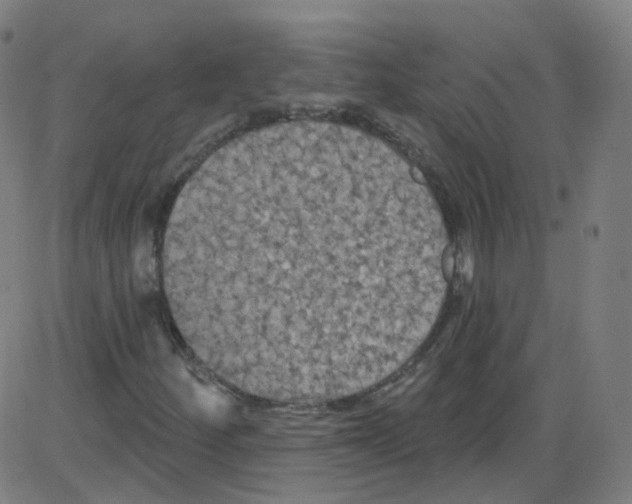 X0000084051252200703161848