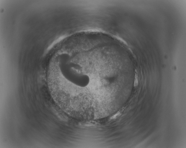 X0000084051255200703161848