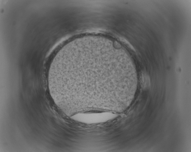 X0000084051256200703161848