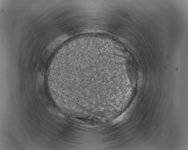 X0000084051257200703161848