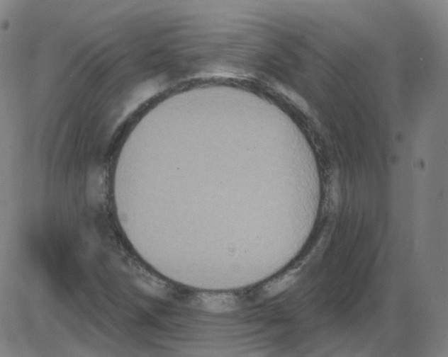 X0000084051258200703161848