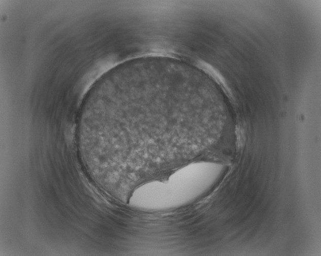 X0000084051260200703161848