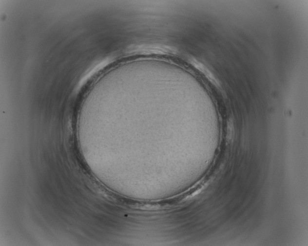 X0000084051261200703161848