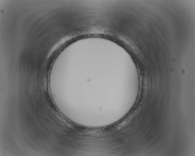 X0000084051262200703161848