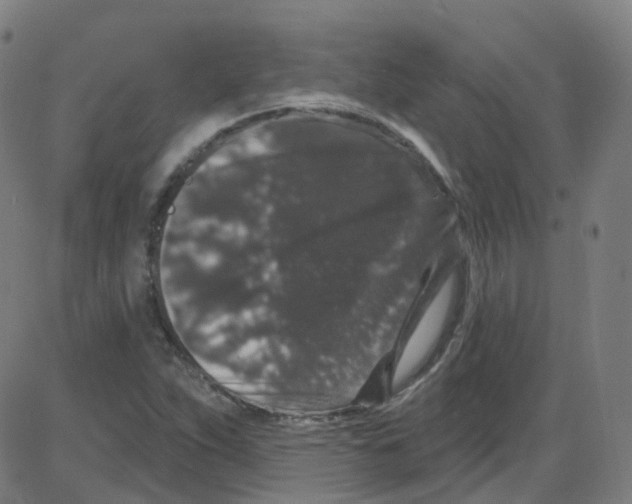 X0000084051263200703161848