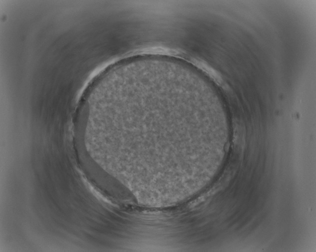 X0000084051264200703161848