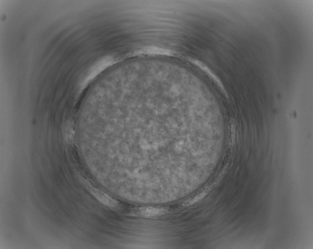 X0000084051266200703161848