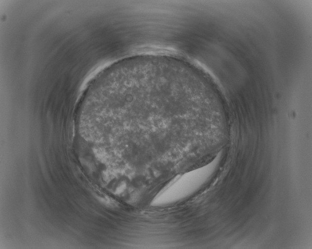 X0000084051267200703161848