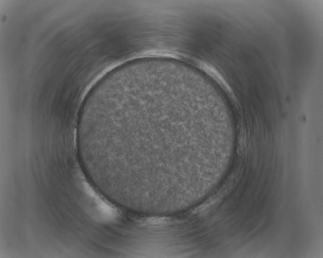 X0000084051268200703161848