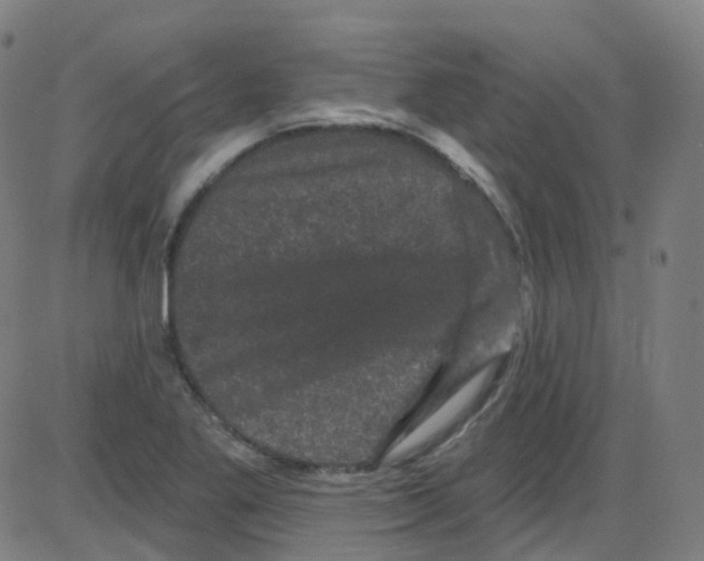 X0000084051269200703161848