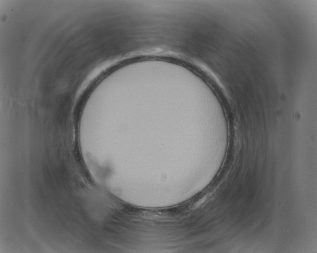 X0000084051270200703161847