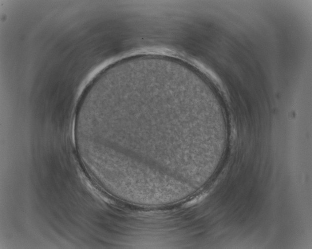 X0000084051272200703161847