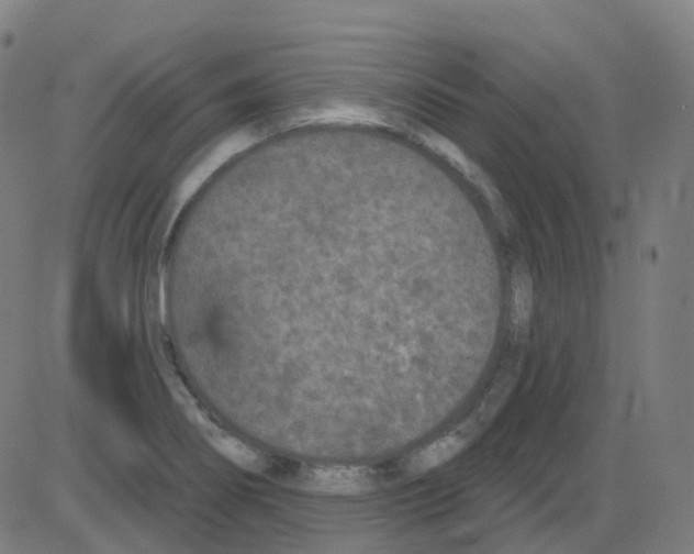 X0000084051274200703161847