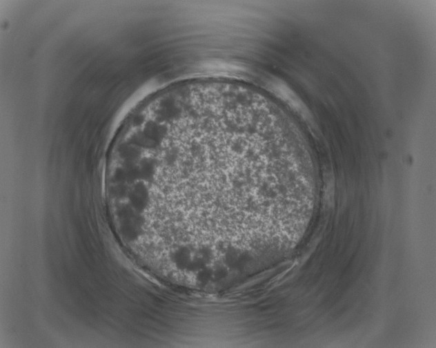 X0000084051275200703161847