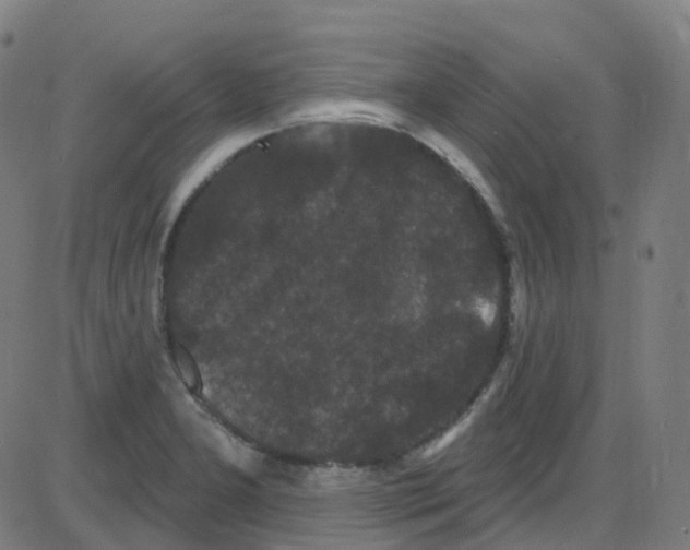 X0000084051277200703161847