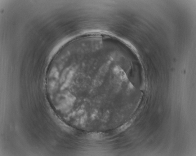 X0000084051279200703161847