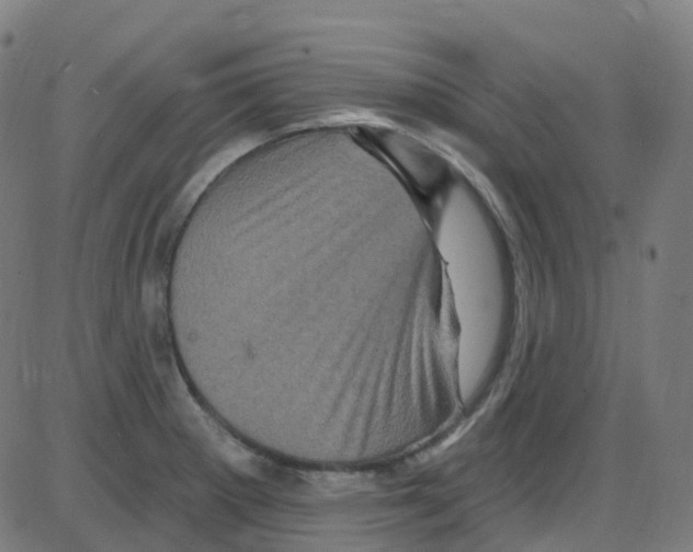 X0000084051281200703161847