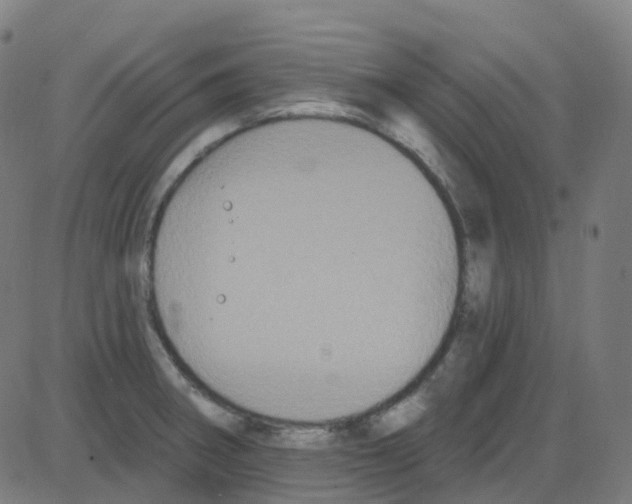 X0000084051282200703161847