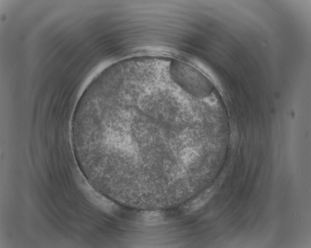 X0000084051283200703161847