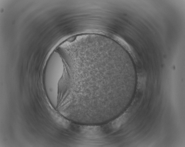 X0000084051284200703161847