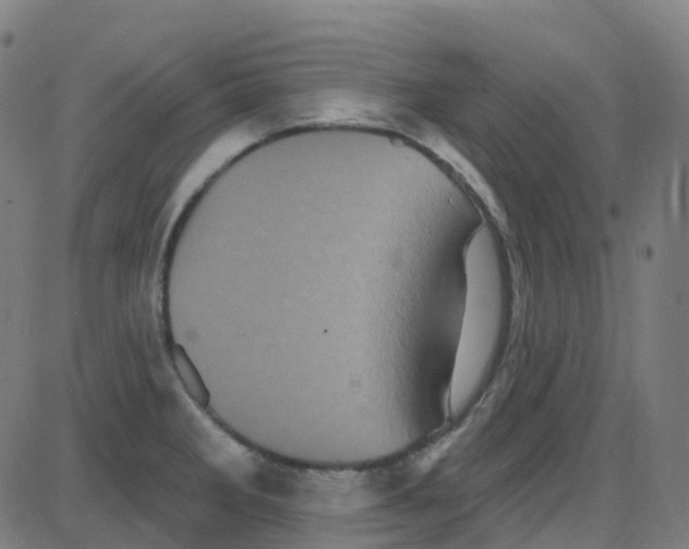 X0000084051285200703161847