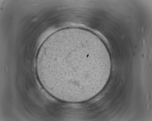 X0000084051287200703161847