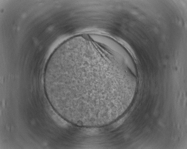 X0000084051288200703161847