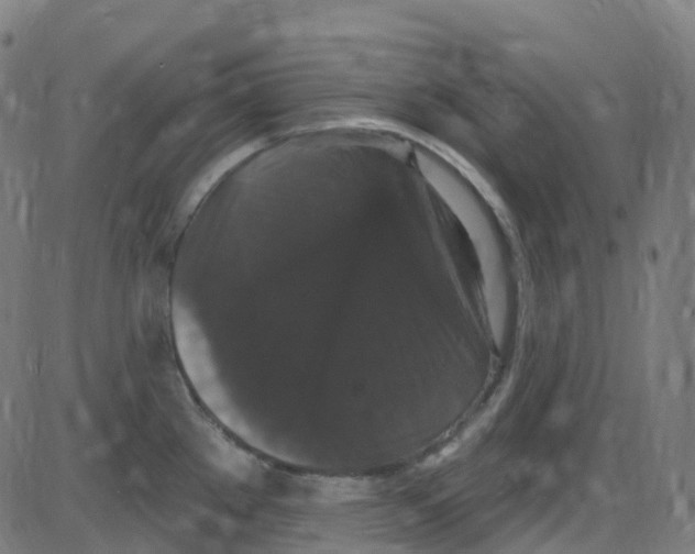 X0000084051289200703161847