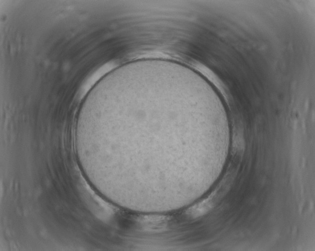 X0000084051290200703161847