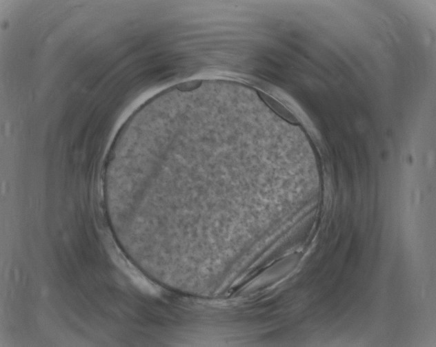 X0000084051292200703161847