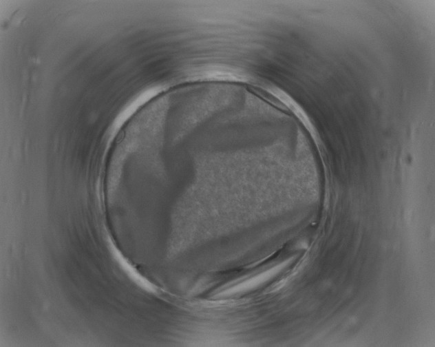 X0000084051293200703161847