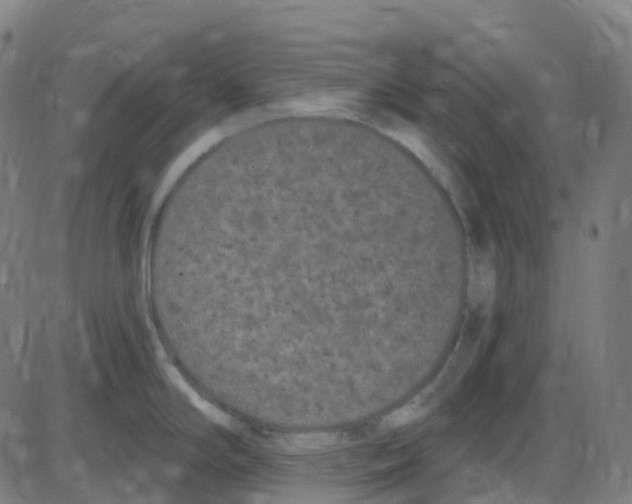 X0000084051294200703161847