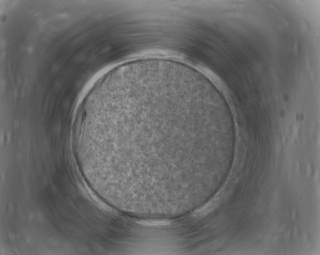 X0000084051296200703161847