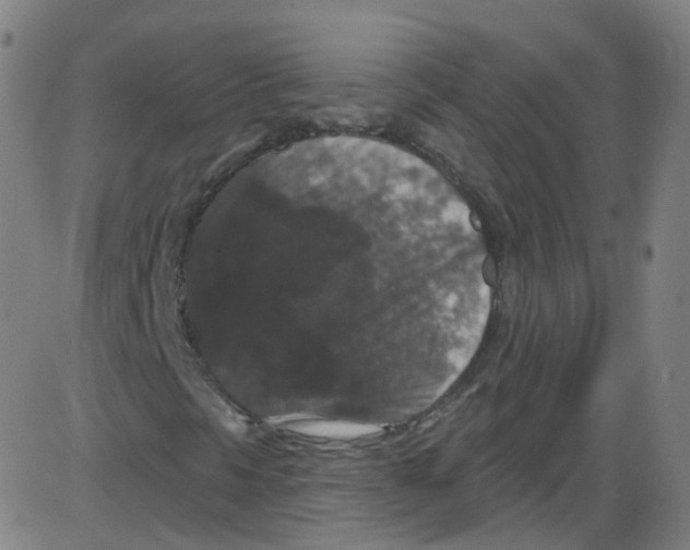 X0000084051297200703161846